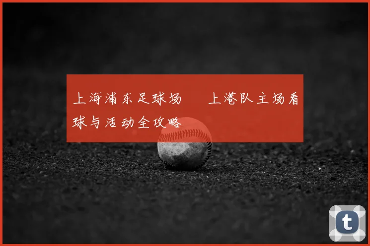 上海浦东足球场 – 上港队主场看球与活动全攻略